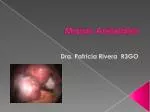 Masas Anexiales - slide 1
