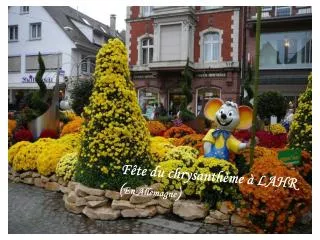 Fête du chrysanthème à LAHR ( En Allemagne )