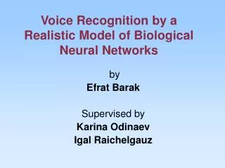 Voice Recognition by a Realistic Model of Biological Neural Networks