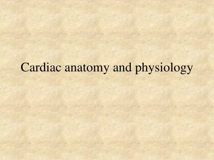 cardiac anatomy and physiology