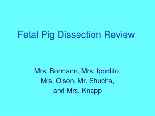 Fetal Pig Dissection Review