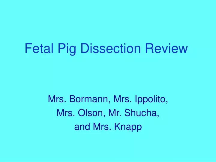 fetal pig dissection review