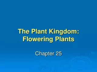 The Plant Kingdom: Flowering Plants