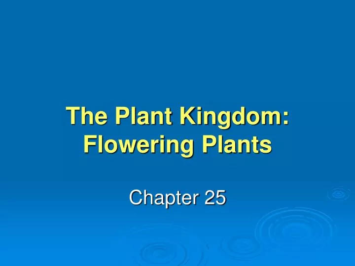 the plant kingdom flowering plants