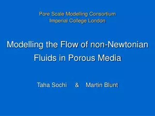 Modelling the Flow of non-Newtonian Fluids in Porous Media
