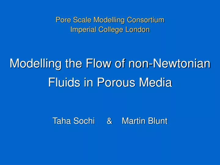 modelling the flow of non newtonian fluids in porous media