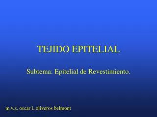 tejido epitelial