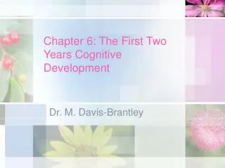Chapter 6: The First Two Years Cognitive Development
