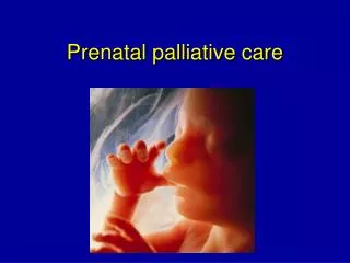 Prenatal palliative care