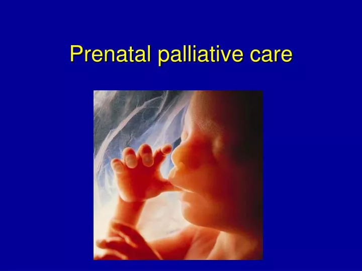 prenatal palliative care