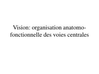 Vision: organisation anatomo-fonctionnelle des voies centrales