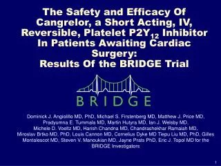 The Safety and Efficacy Of Cangrelor, a Short Acting, IV, Reversible, Platelet P2Y 12 Inhibitor In Patients Awaiting Ca
