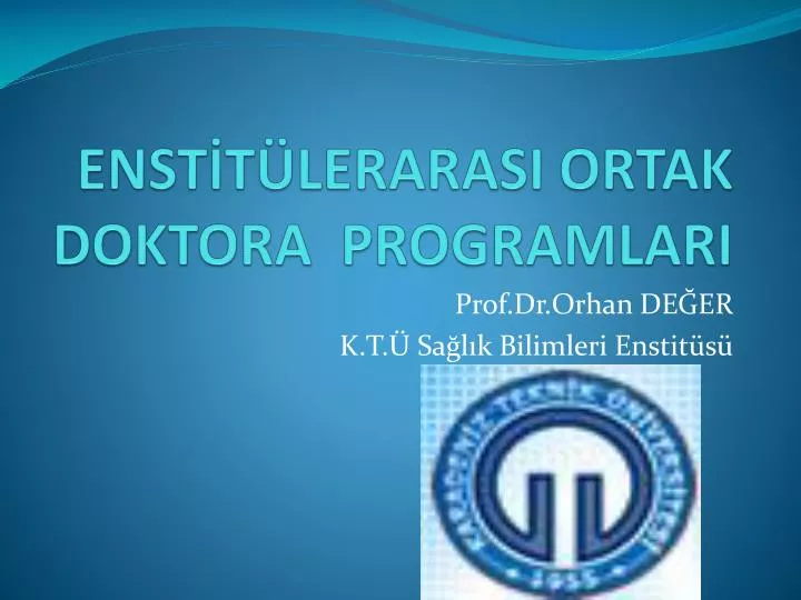 enst t lerarasi ortak doktora programlari