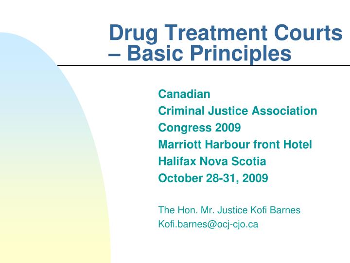 drug treatment courts basic principles