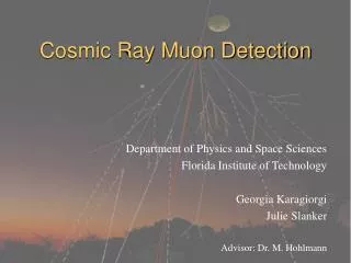 Cosmic Ray Muon Detection