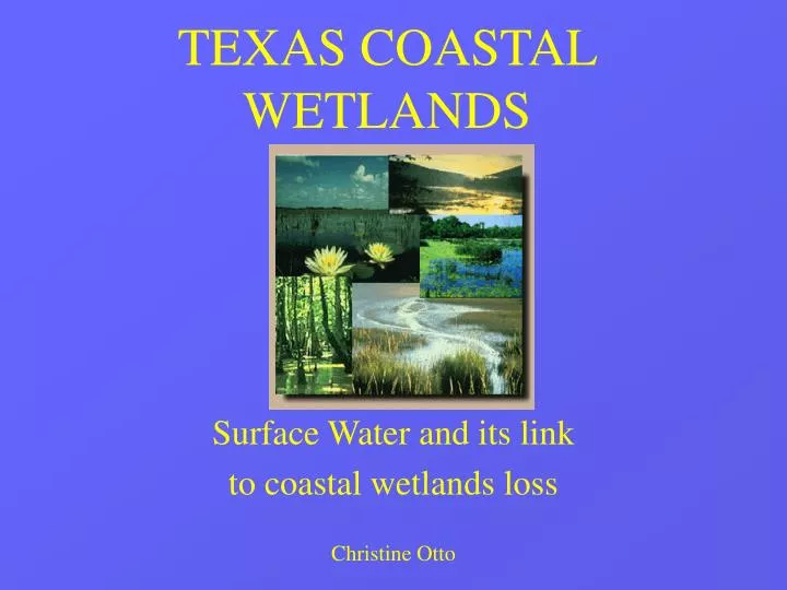 texas coastal wetlands