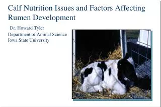 Calf Nutrition Issues and Factors Affecting Rumen Development Dr. Howard Tyler Department of Animal Science Iowa State U