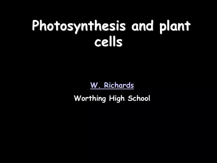 photosynthesis and plant cells