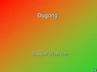 Dugong