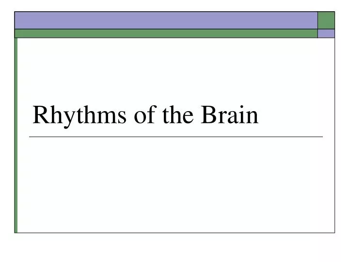 rhythms of the brain