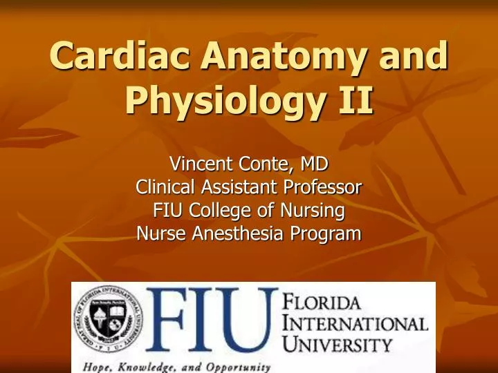 cardiac anatomy and physiology ii