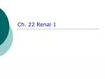Ch. 22 Renal 1 - slide 1