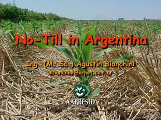 No-Till in Argentina