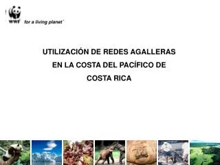 UTILIZACIÓN DE REDES AGALLERAS EN LA COSTA DEL PACÍFICO DE COSTA RICA