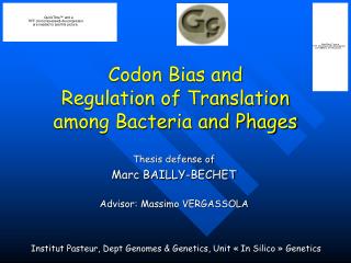 Codon Bias and Regulation of Translation among Bacteria and Phages