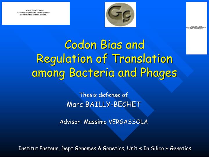 codon bias and regulation of translation among bacteria and phages