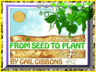 Vocabulary for &quot;From Seeds to Plants&quot;
