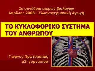 ΤΟ ΚΥΚΛΟΦΟΡΙΚΟ ΣΥΣΤΗΜΑ ΤΟΥ ΑΝΘΡΩΠΟΥ