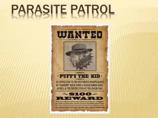 Parasite Patrol