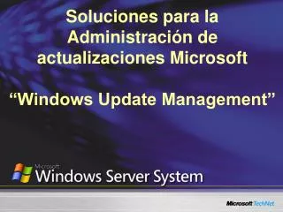 Soluciones para la Administración de actualizaciones Microsoft “Windows Update Management”