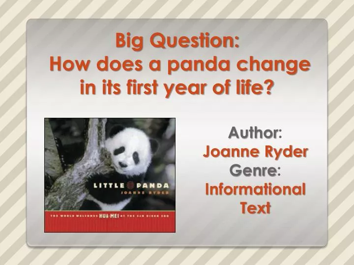 big question how does a panda change in its first year of life
