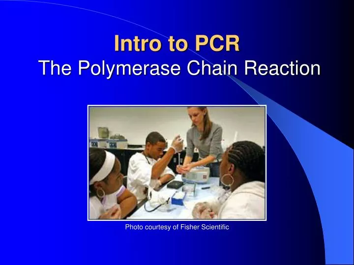 intro to pcr the polymerase chain reaction