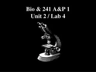 Bio &amp; 241 A&amp;P 1 Unit 2 / Lab 4
