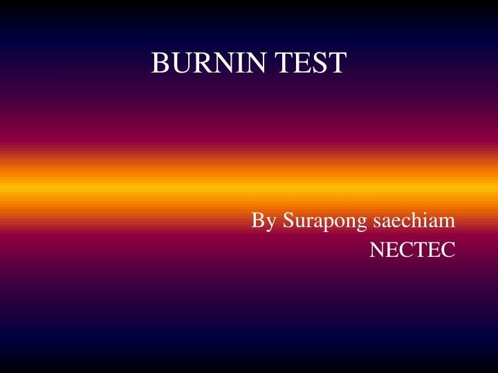 burnin test