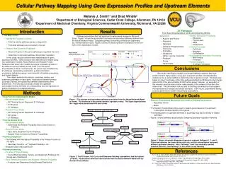 Cellular Pathway Mapping Using Gene Expression Profiles and Upstream Elements