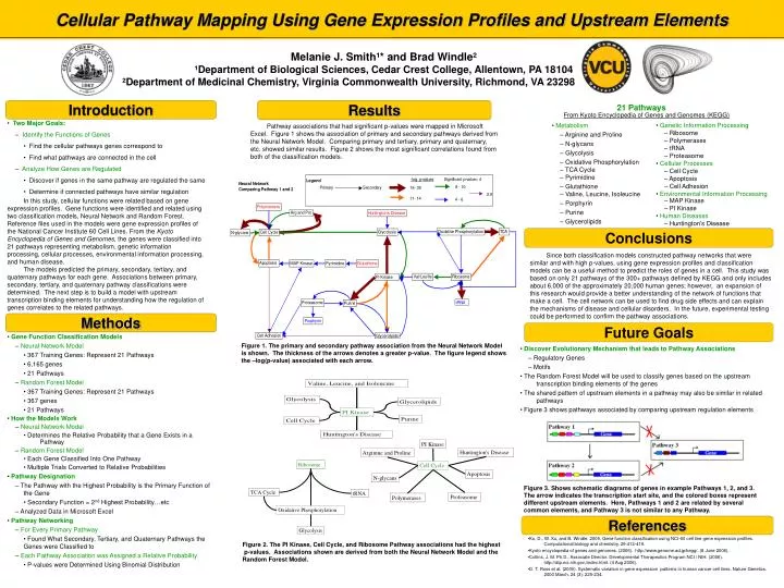 cellular pathway mapping using gene expression profiles and upstream elements