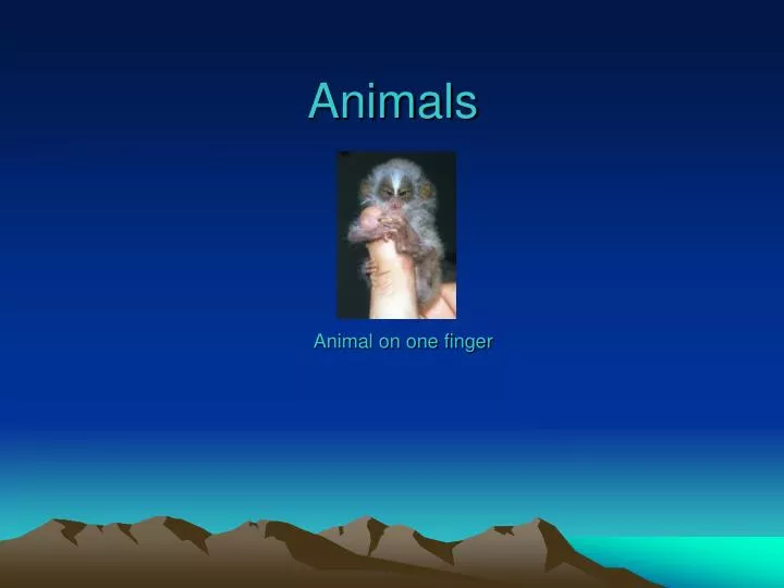 animals