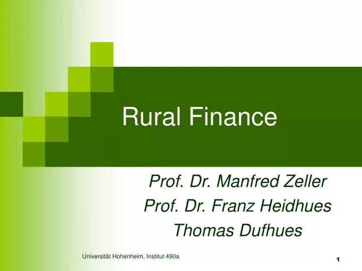 rural finance