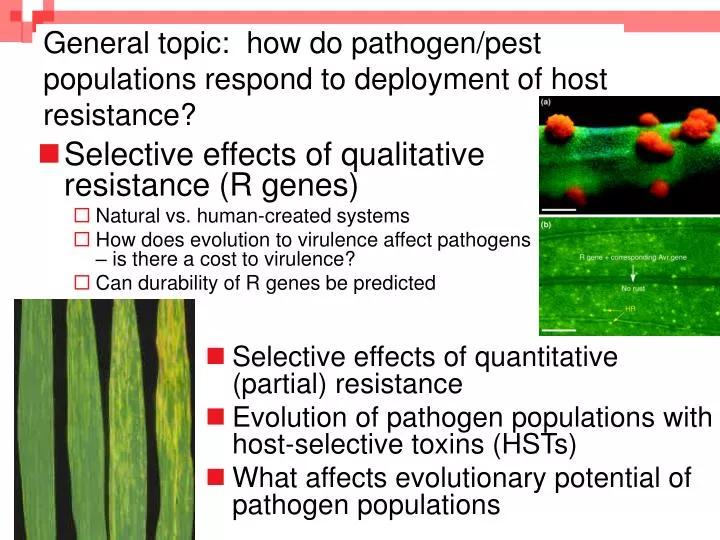 general topic how do pathogen pest populations respond to deployment of host resistance
