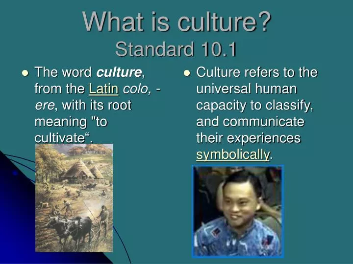 what is culture standard 10 1
