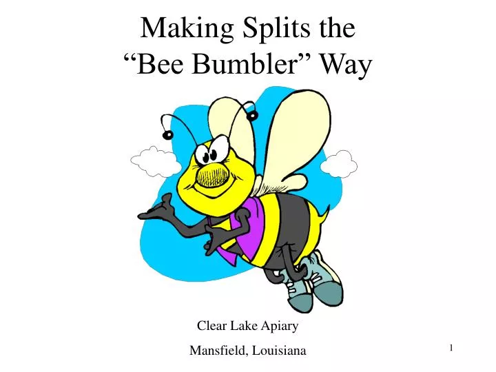 making splits the bee bumbler way