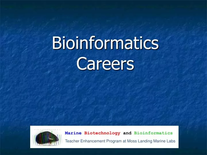 bioinformatics careers