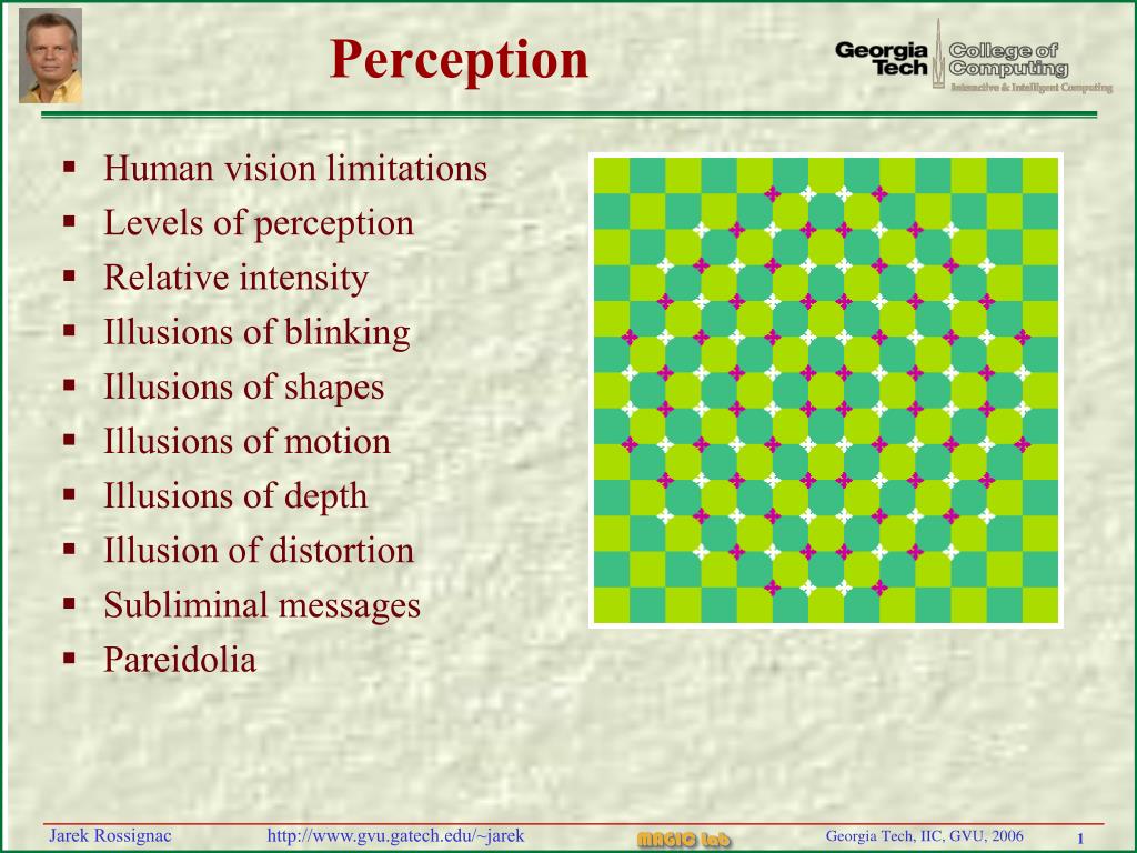 PPT - Perception PowerPoint Presentation, free download - ID:474118