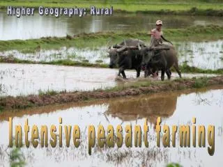 Intensive peasant farming