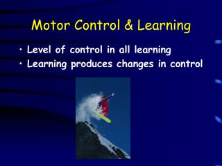 Motor Control &amp; Learning