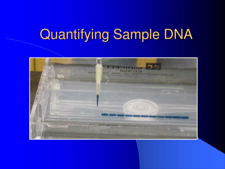 quantifying sample dna
